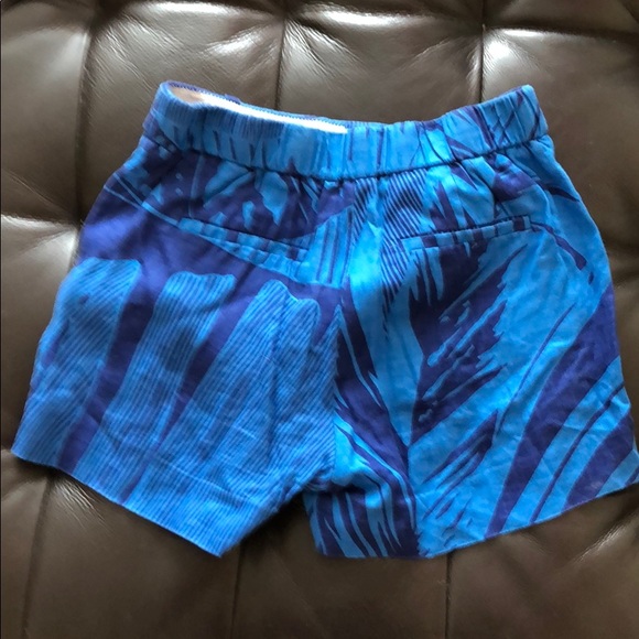 J Crew Shorts - Picture 4 of 4